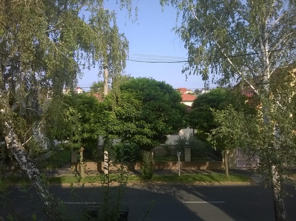Apartman Nemeth Heviz Bagian luar foto